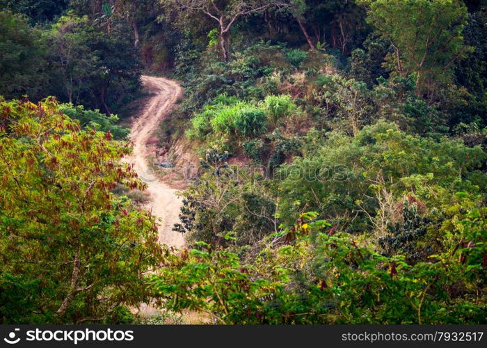 Empty rural road going through tropical forest landscape. Amazing bright colors of nature. Myanmar (Burma)