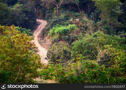 Empty rural road going through tropical forest landscape. Amazing bright colors of nature. Myanmar (Burma)