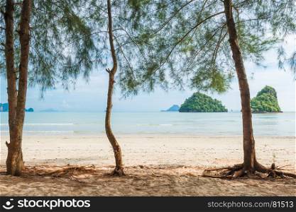 empty sandy beach with trees, sea view Thailand
