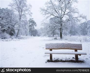 empty snow covered wooden bench in winter forest