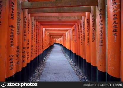 Empty space in Fushimi Inari Taisha temple in travel holidays vacation trip concept in outdoor in Kyoto, Japan. Red poles in the temple. Walkway tunnel of shrine. Structure architecture background.
