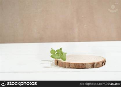 empty stage with wooden podium decorated with mint leaves. product promotion display. abstract minimal scene for new product presentation. empty stage with wooden podium decorated with mint leaves. product promotion display. abstract minimal scene for new product presentation.