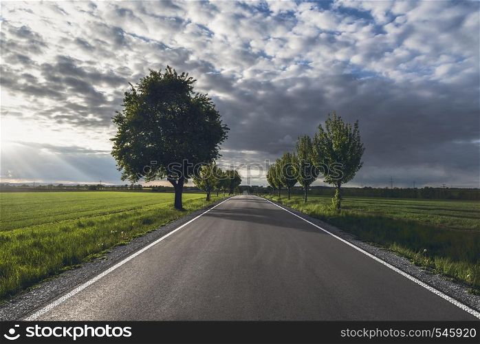 Empty street going through green agricultural fields and tree lines, under a spring sunset piercing a cloudy sky, near Schwabisch Hall, Germany.
