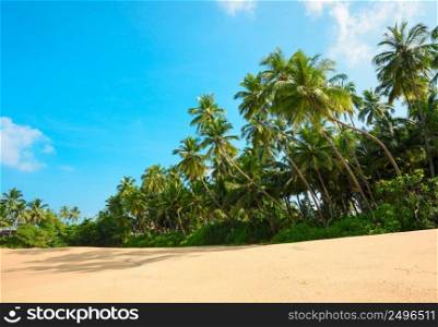 Empty tropical beach