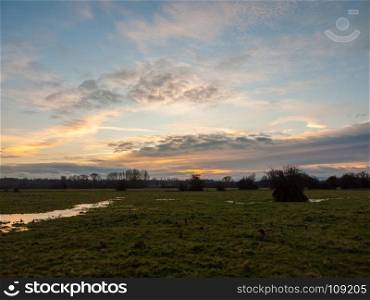 empty wet grass field low light sunset landscape dedham plain empty no people dramatic sky trees; essex; england; uk