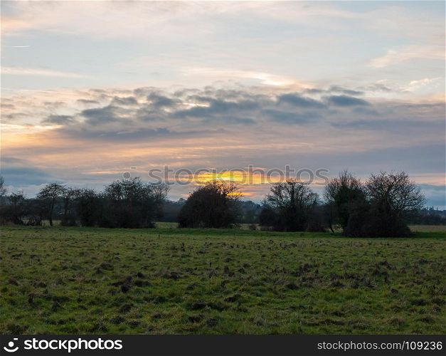 empty wet grass field low light sunset landscape dedham plain empty no people dramatic sky trees; essex; england; uk