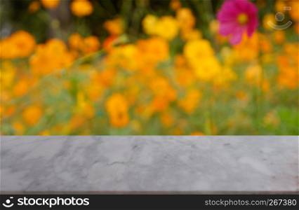 Empty white marble table over blurred background of blossoming beautiful yellow Cosmos in garden , product display montage - Image