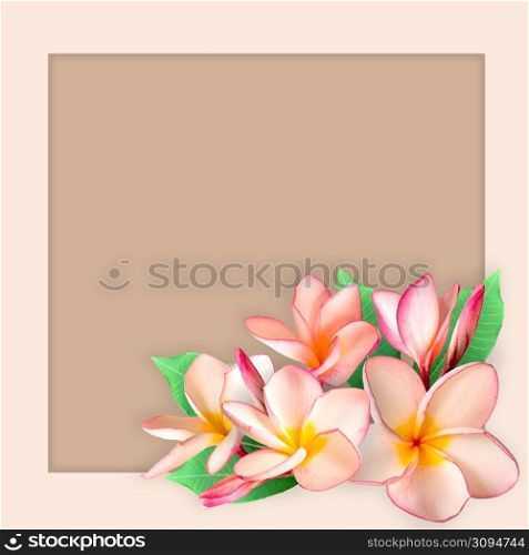 Empty white paper blank on Pink Plumeria flower frame, flat lay, top view