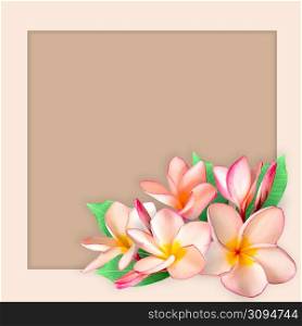 Empty white paper blank on Pink Plumeria flower frame, flat lay, top view