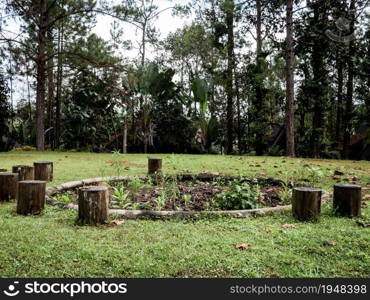 Empty wild camp fire in the forest with wood natural seats in spring. Concept of corona virus epidemic situation. Campground without people or tourists.