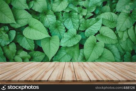 Empty wooden board for montage products display for sale promote or visual layout design with green leaves background