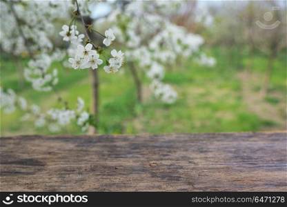 Empty wooden deck table in spring time. Empty wooden deck table
