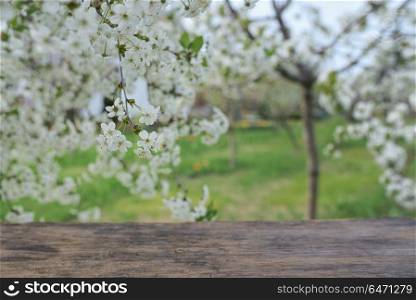 Empty wooden deck table in spring time. Empty wooden deck table