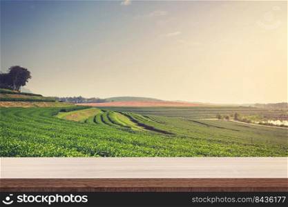 Empty wooden table for product placement or montage and tea field in farm.