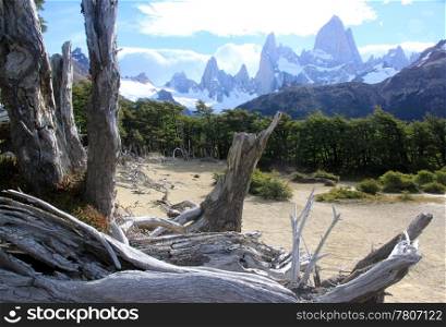 Enchanted forest and mountain in national park near El Chalten, Argentina