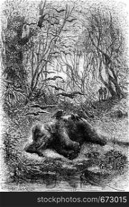 Encounter an elephant eats by vultures, vintage engraved illustration. Le Tour du Monde, Travel Journal, (1872).