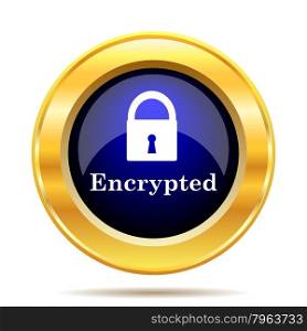 Encrypted icon. Internet button on white background.