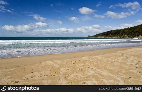 Endless sandy beach along the coast Great Ocean Road in Victoria, Australia