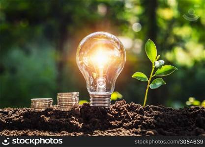 energy concept. eco power. lightbulb with money and young plant on soil sunlight background