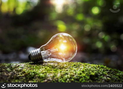 energy power lightbulb in nature