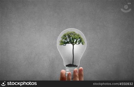Energy saving concept. Close up of hand holding light bulb with tree inside