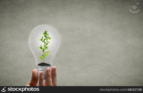 Energy saving concept. Close up of hand holding light bulb with tree inside