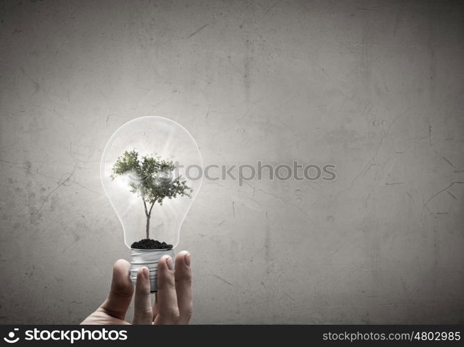 Energy saving concept. Close up of hand holding light bulb with tree inside