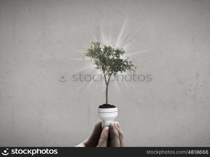 Energy saving concept. Close up of hand holding light bulb with tree inside