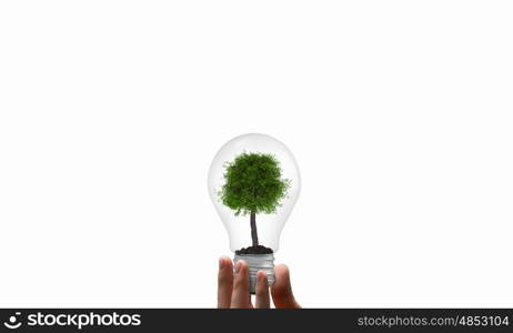 Energy saving concept. Close up of hand holding light bulb with tree inside