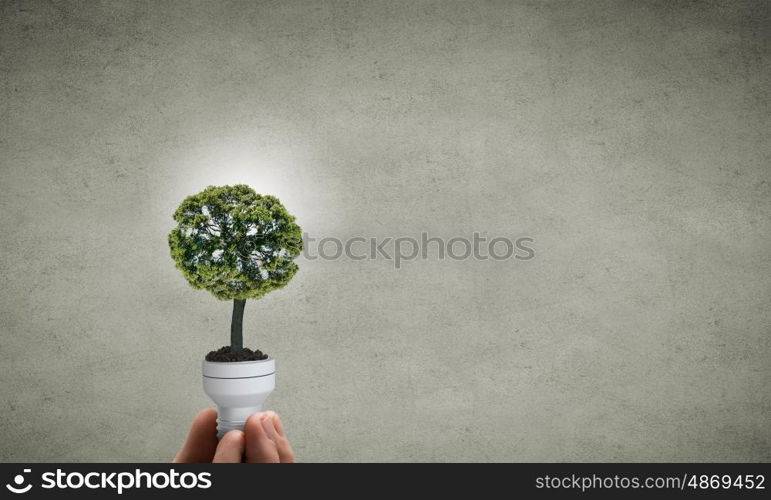 Energy saving concept. Close up of hand holding light bulb with tree inside