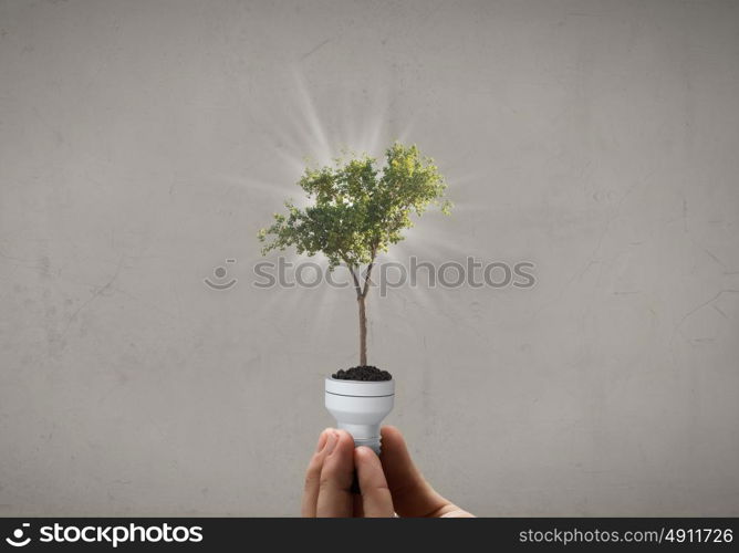 Energy saving concept. Close up of hand holding light bulb with tree inside