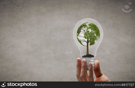 Energy saving concept. Close up of hand holding light bulb with tree inside