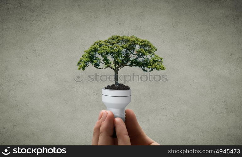 Energy saving concept. Close up of hand holding light bulb with tree inside