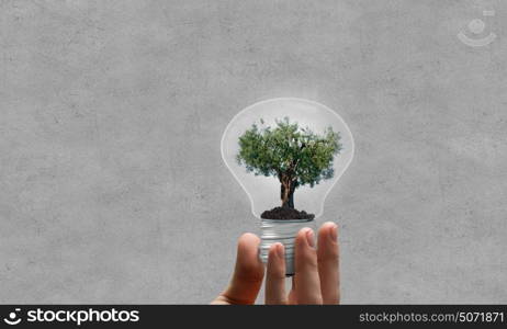 Energy saving concept. Close up of hand holding light bulb with tree inside