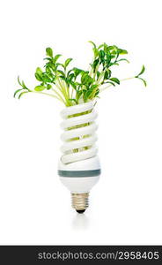 Energy saving lamp with green seedling on white