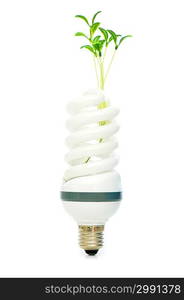 Energy saving lamp with green seedling on white