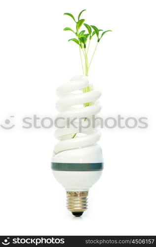 Energy saving lamp with green seedling on white