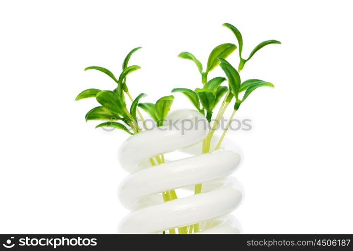 Energy saving lamp with green seedling on white