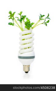 Energy saving lamp with green seedling on white