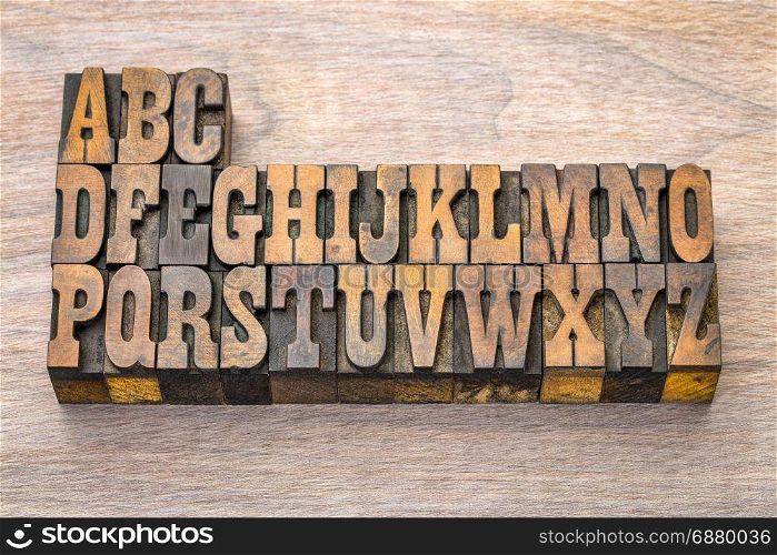English alphabet abstract in vintage letterpress wood type printing blocks against grained wood, French Clarendon font popular in western movies and memorabilia