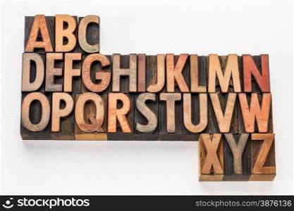 English alphabet abstract - vintage letterpress wood type printing blocks on white arr canvas