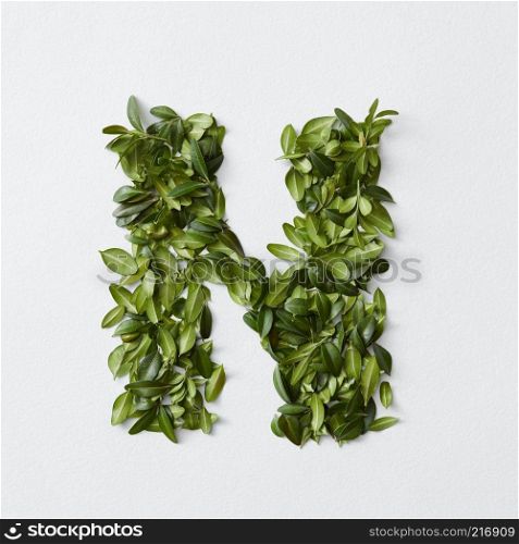English alphabet concept. Alphabet isolated on white background. Abc letters from green leaves. Letter N represented with green leaves. Symbol N on white.. Alphabet letters from leaves