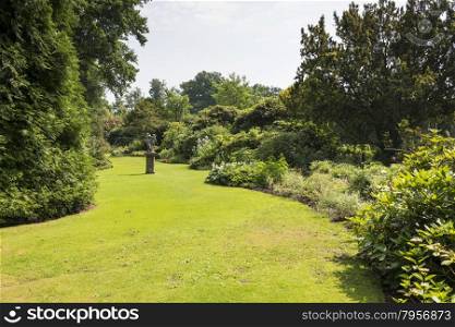 english border green grass garden with trees and plants