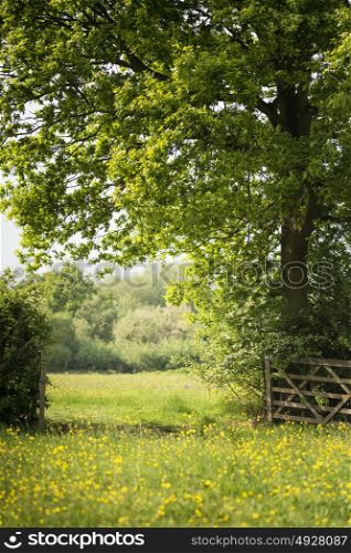 English countryside landscape image of meadow in Spring sunshine