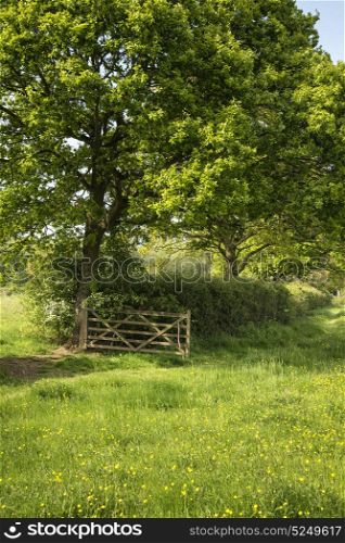English countryside landscape image of meadow in Spring sunshine