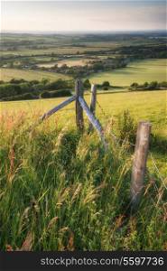 English countryside landscape in Summer sunset light