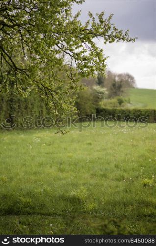 English countryside landscape view through trees to fields beyond on Spring morning