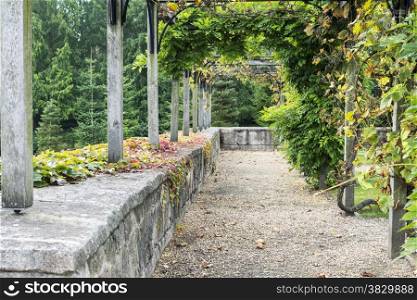 english garden in autumn with plants pergola and rock to sit