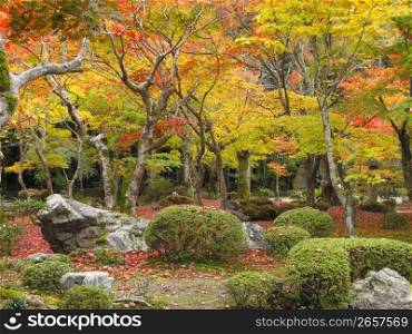 Enko-ji Temple garden