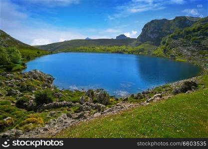 Enol lake at Picos de Europa in Asturias of Spain